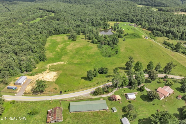 Nashville Hwy, Deer Lodge, TN 37726 - photo 9