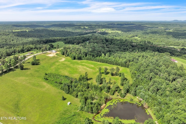 Nashville Hwy, Deer Lodge, TN 37726 - photo 14