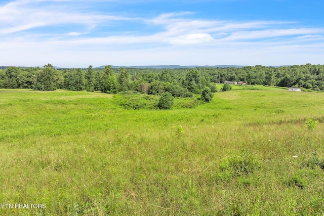 Nashville Hwy, Deer Lodge, TN 37726 - photo 18