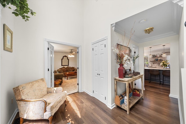 interior space featuring ceiling fan, crown molding, and dark wood-type flooring