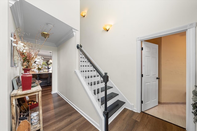 stairway with hardwood / wood-style floors and crown molding