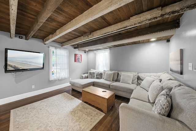 828 Corgie St, Cape May, NJ 08204 - photo 6