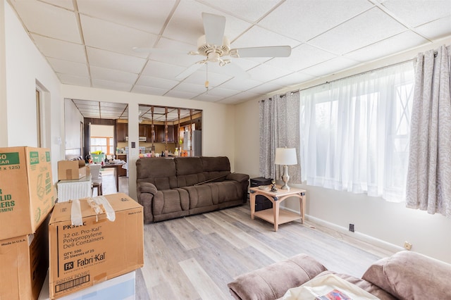 living room with ceiling fan, light hardwood / wood-style flooring, and a drop ceiling