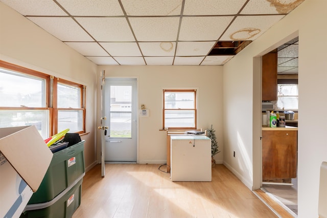 doorway with a drop ceiling and light hardwood / wood-style floors