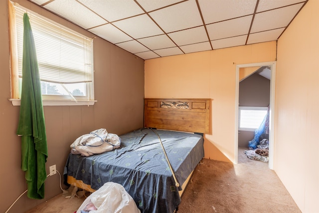 bedroom with carpet flooring