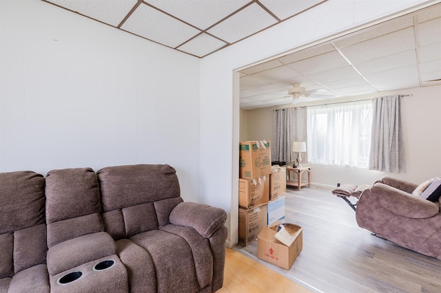 living room with a paneled ceiling, ceiling fan, and light hardwood / wood-style flooring