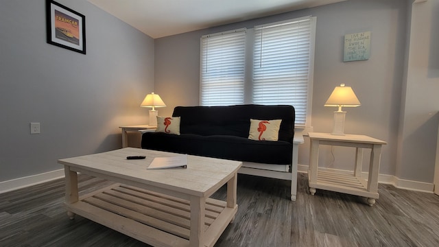 living room featuring dark hardwood / wood-style flooring