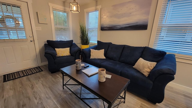 living room with wood-type flooring