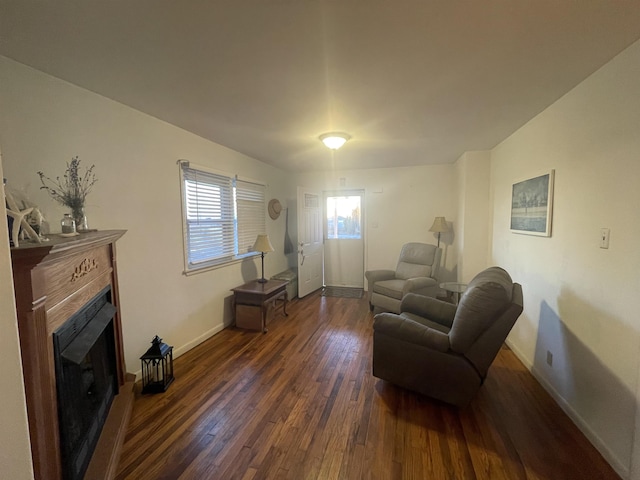 living room featuring dark wood-type flooring