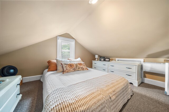 2068 N Shore Rd, Clermont, NJ 08210 - bedroom featuring light colored carpet and lofted ceiling