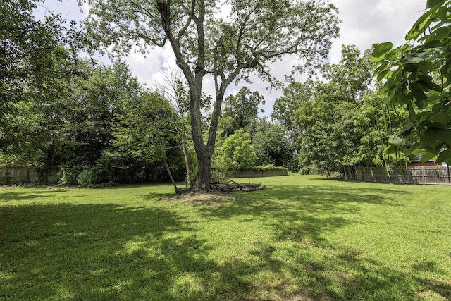 817 Dehirsch Ave, Woodbine, NJ 08270 - photo 25