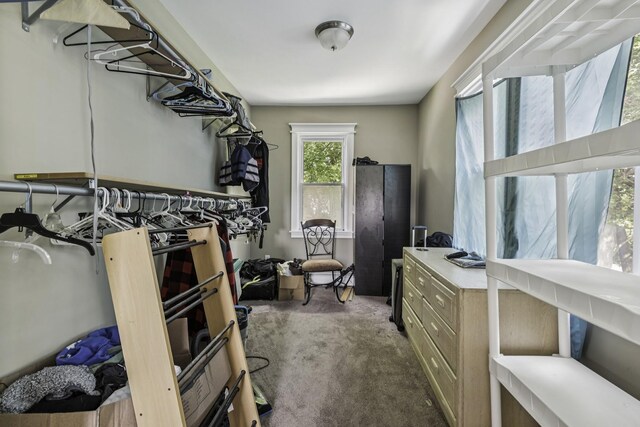 817 Dehirsch Ave, Woodbine, NJ 08270 - photo 13