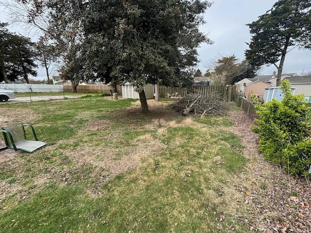 view of yard featuring a shed