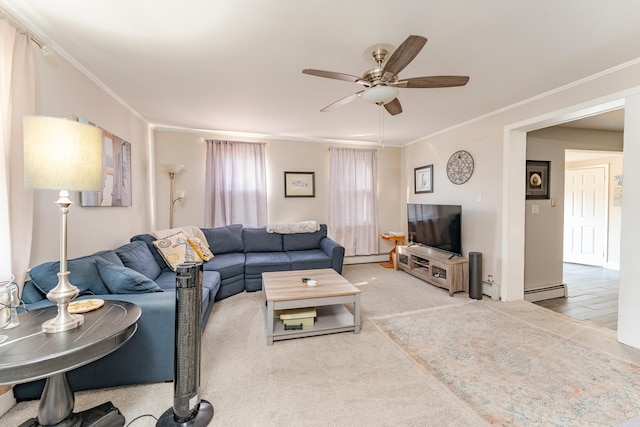 2334 Rte 50, Tuckahoe, NJ 08270 - photo 11