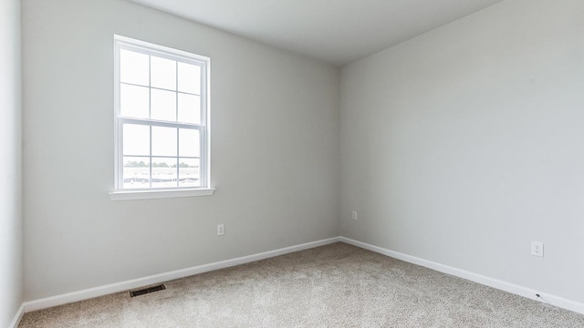 spare room with carpet and a wealth of natural light