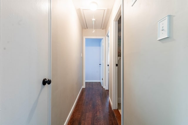 corridor with dark hardwood / wood-style floors