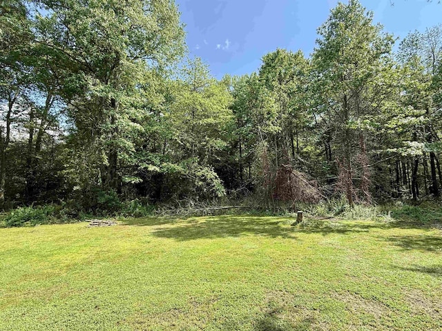 104 Head Of River Rd, Corbin City, NJ 08270 - photo 48