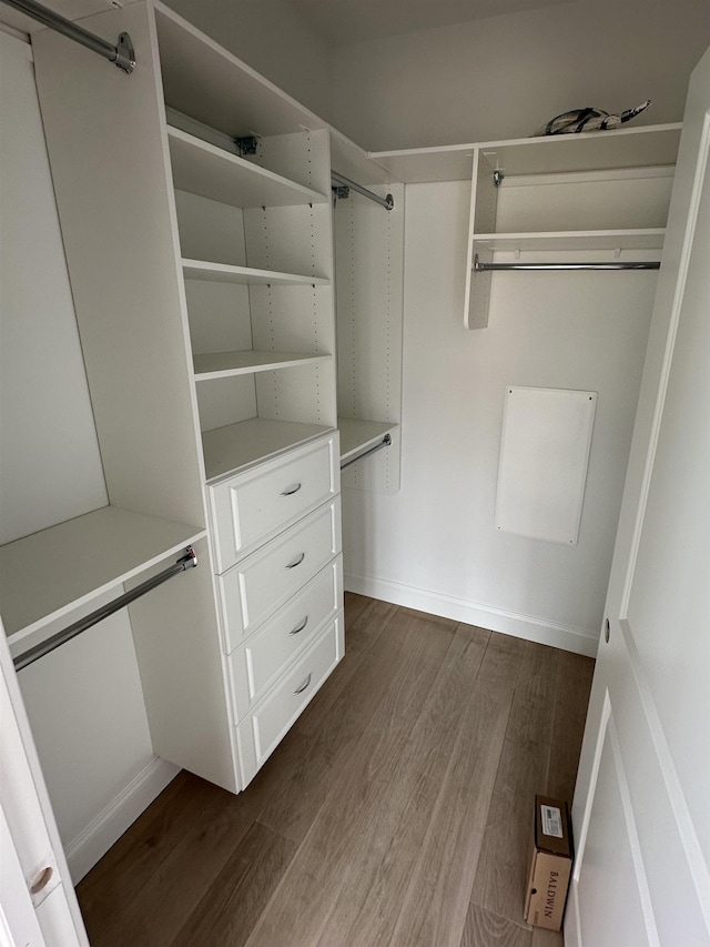 walk in closet with dark wood-style flooring