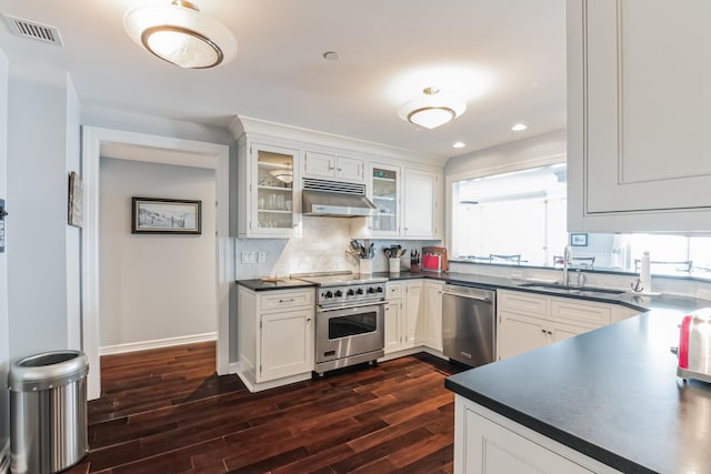 kitchen with sink, white cabinetry, a wealth of natural light, and appliances with stainless steel finishes