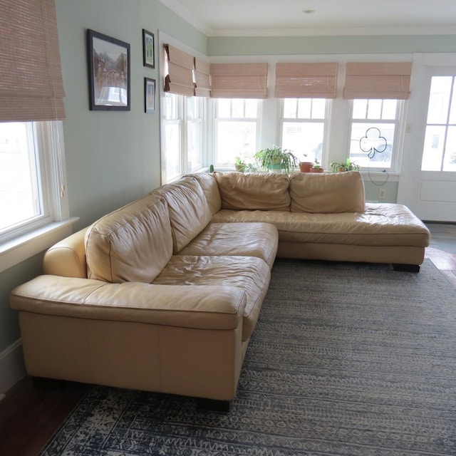 living room featuring ornamental molding and wood finished floors