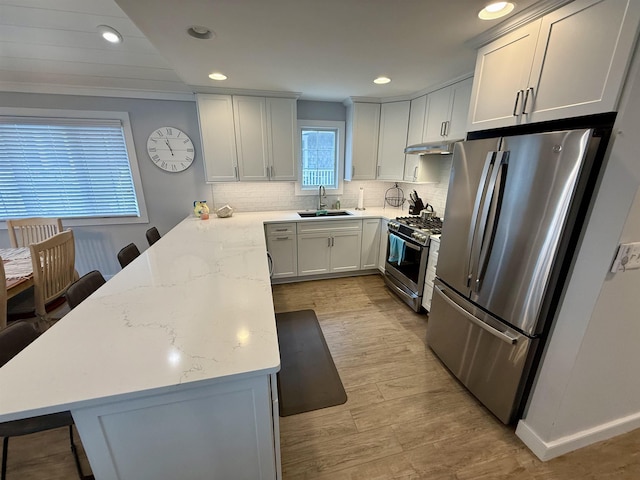 kitchen with appliances with stainless steel finishes, a sink, a peninsula, under cabinet range hood, and backsplash