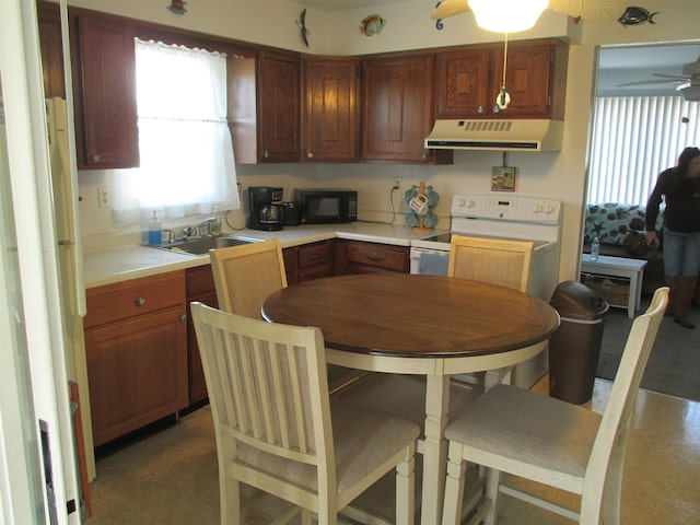 kitchen featuring white range with electric stovetop, ceiling fan, and sink