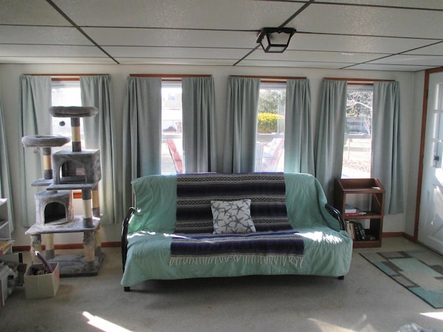 living area featuring carpet and a paneled ceiling