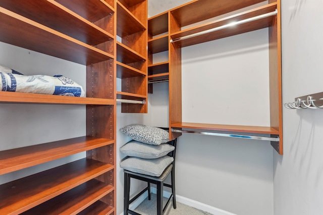 145 W Andrews Ave Unit 100, Wildwood, NJ 08260 - view of walk in closet