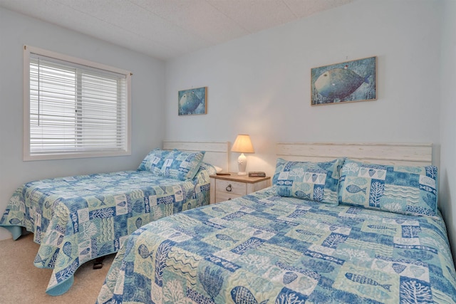 bedroom with carpet floors