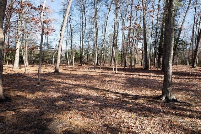 143 Valley Forge Dr, Little Egg Harbor, NJ 08087 - photo 11