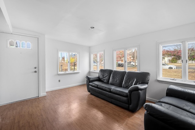 living room featuring a wealth of natural light and wood-type flooring