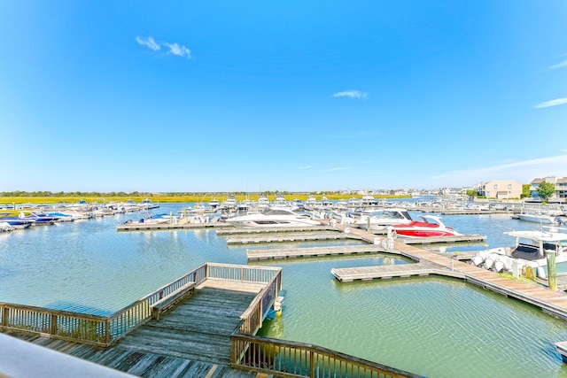 dock area with a water view