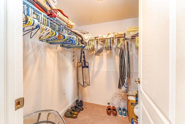 walk in closet with carpet floors