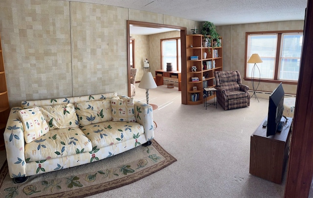 living area featuring carpet and a textured ceiling