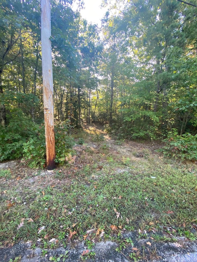 136 Washington Ave, South Dennis NJ, 08270 land for sale