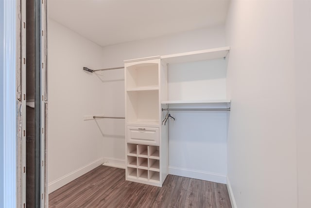 walk in closet featuring dark hardwood / wood-style floors