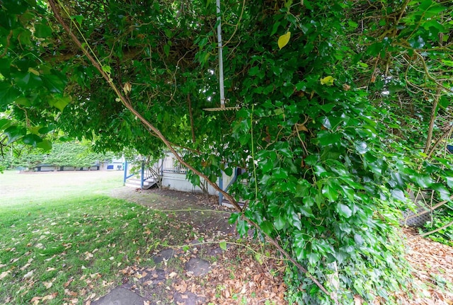 8281/2 Corgie St, Cape May, NJ 08204 - view of grassy yard