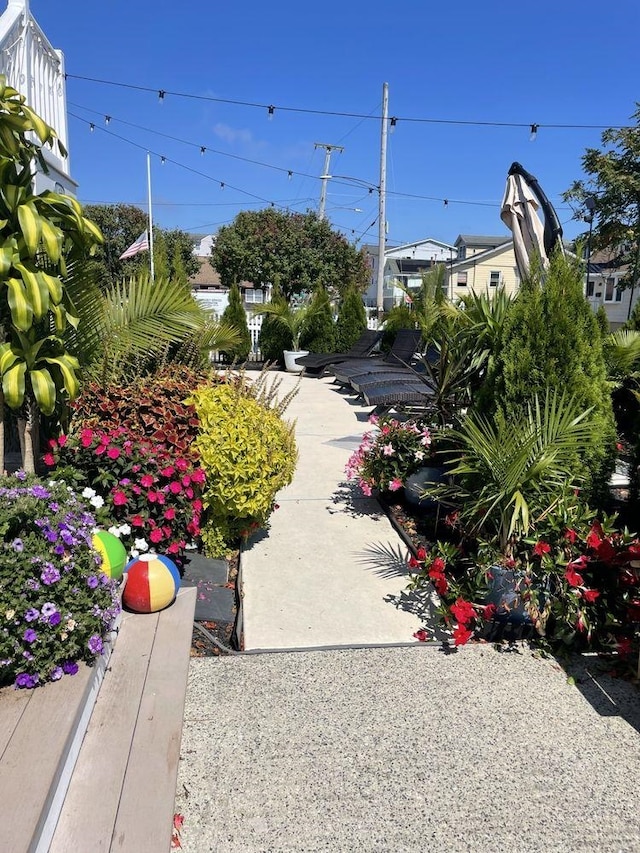 435 W Pine Ave, Wildwood, NJ 08260 - view of yard