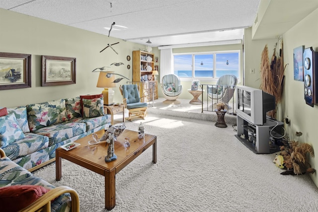 living area with carpet and a textured ceiling