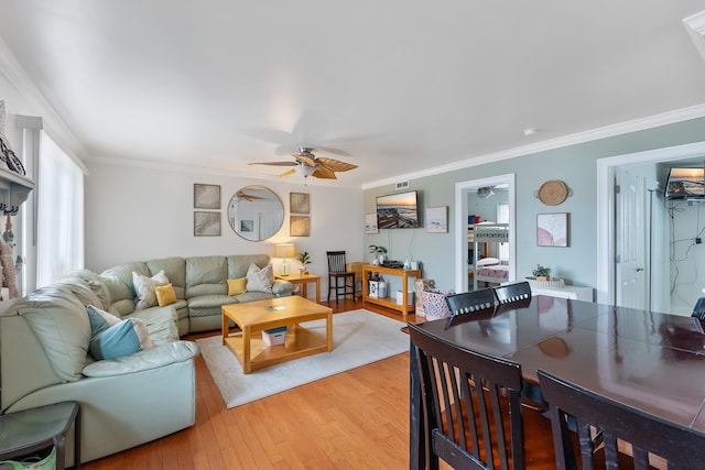 living area with a ceiling fan, ornamental molding, and light wood-type flooring