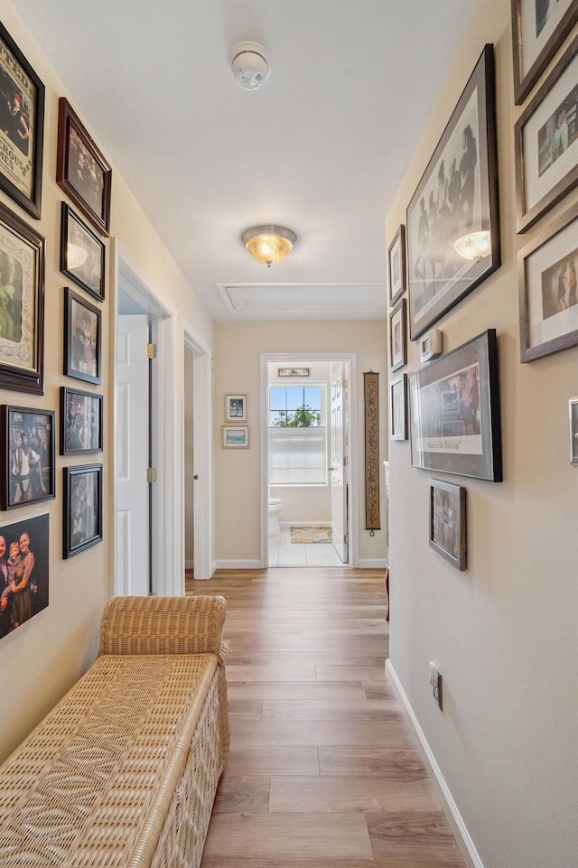 1005 Pittsburgh Ave Unit C-105, Cape May, NJ 08204 - photo 26
