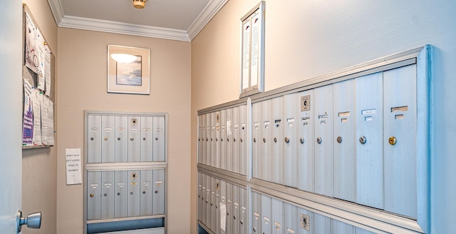 interior space featuring ornamental molding