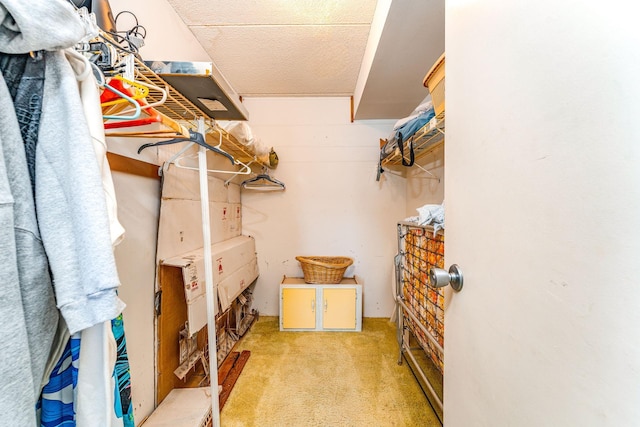 walk in closet featuring light colored carpet