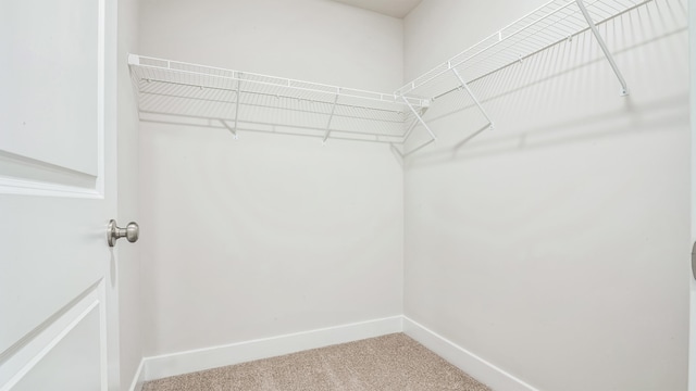 845 Broadway Unit 1, West Cape May, NJ 08204 - spacious closet featuring carpet floors