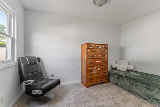 living area featuring baseboards and carpet floors