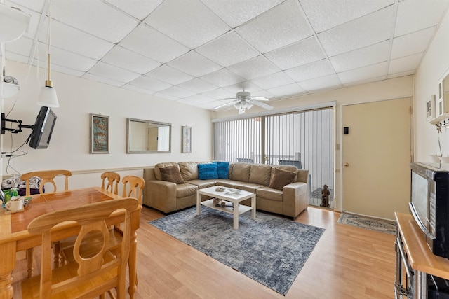 living room with hardwood / wood-style flooring, ceiling fan, and a drop ceiling