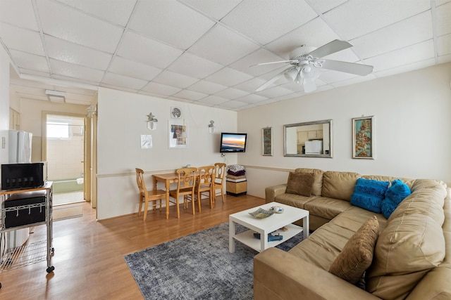 living room featuring a drop ceiling, ceiling fan, and wood-type flooring