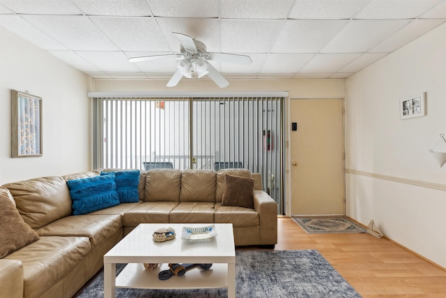 living room with hardwood / wood-style flooring, a drop ceiling, and ceiling fan