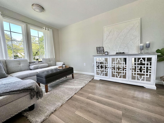 living room featuring wood-type flooring