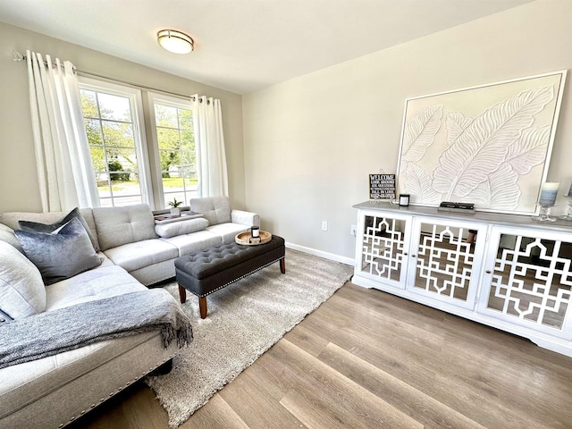 living room with hardwood / wood-style flooring